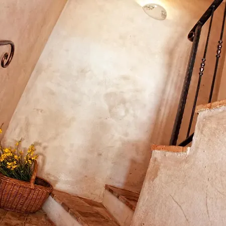 Lauriana * Diminići